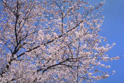 ウイン虎ノ門結婚相談所「結婚する為には、仲人型の結婚相談所で出会いを増やす!!?」-2