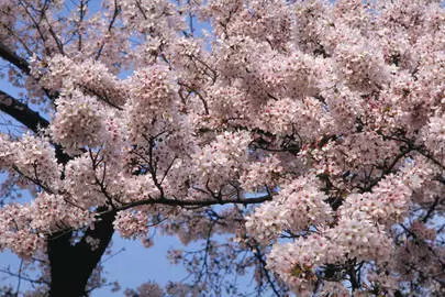 ウイン虎ノ門結婚相談所「結婚する為には、仲人型の結婚相談所で出会いを増やす!!?」-3