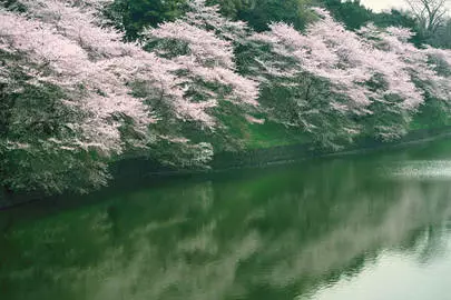 ウイン虎ノ門結婚相談所「婚活で悩んでいた40代の女性の悩み解消するアナログコース」-3