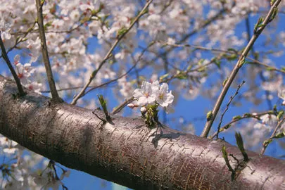ウイン虎ノ門結婚相談所「仲人型の結婚相談所で婚活しているのに成婚できなければ!?」-2