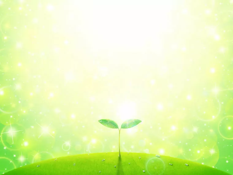 春に向けて、たくさん種をまこう！