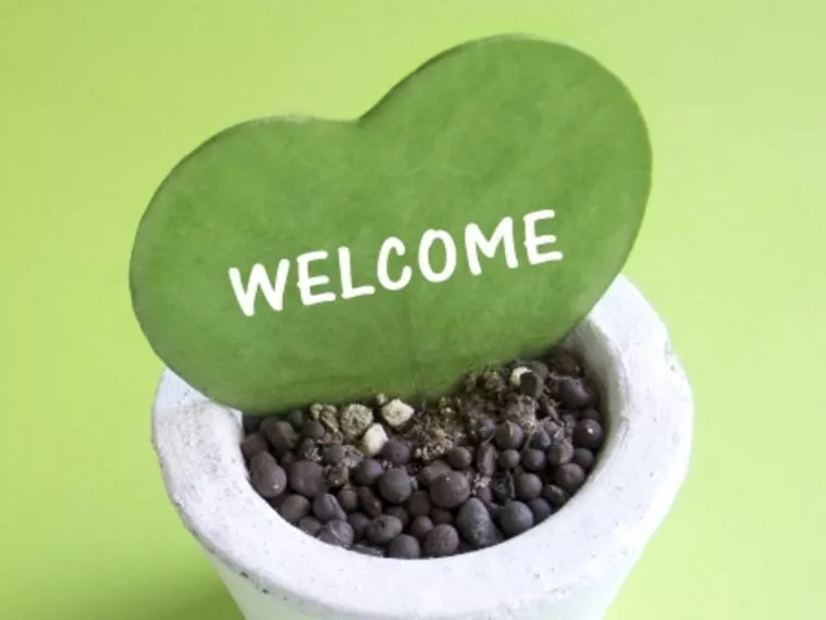 親御様からのご相談承ります(^▽^)