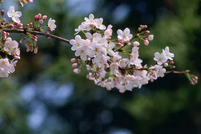 ウイン虎ノ門結婚相談所「仲人型の結婚相談所は、婚前交渉が駄目だから安全で安心!?」-2