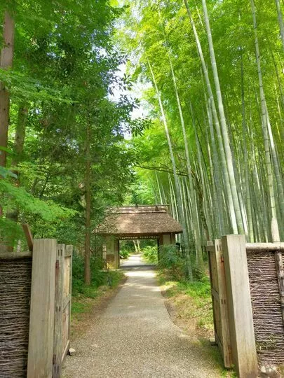 婚活サロン　ブーケトス「40代女性さま真剣交際に入りました♡」-2