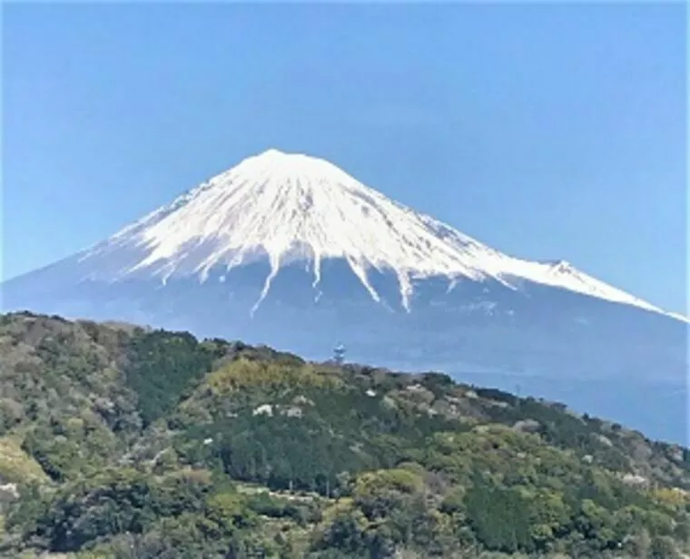【この秋】富士山まわりのおすすめデートスポット５選