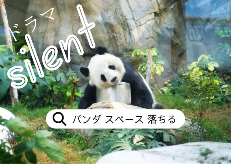 ドラマ「silent」で心のデトックス✨