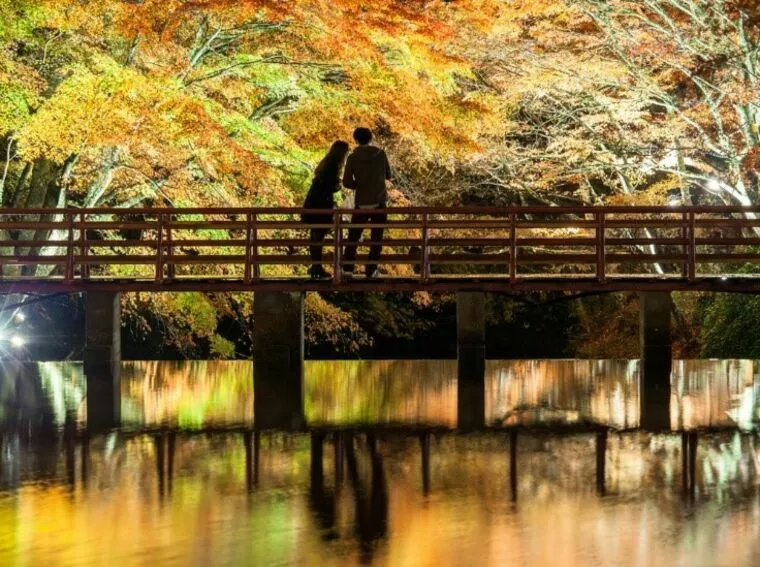 コロナ禍の秋に婚活を進める際のポイントや注意点