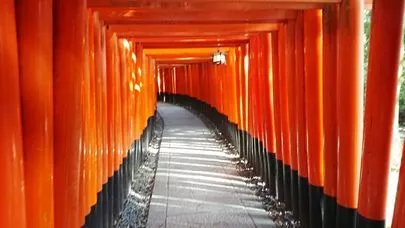 良縁コンシェルジュ町田「軽いハイキングで感じたこと」-2