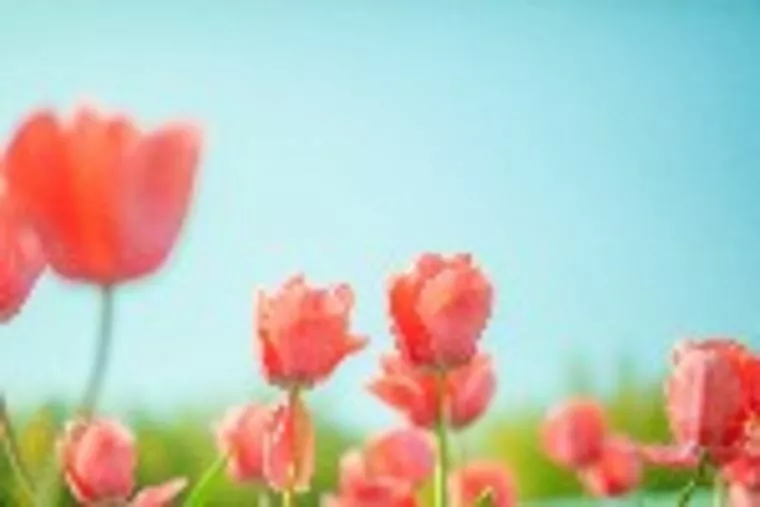 婚活は人と比べたりしなくていいんですよ(^▽^)/