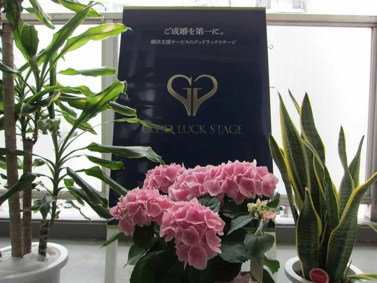 今婚活を始める重要性