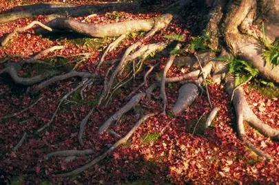 ウイン虎ノ門結婚相談所「御社のブログが面白い!!!」-2