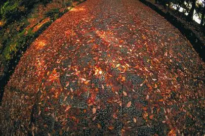 ウイン虎ノ門結婚相談所「御社のブログが面白い!!!」-3