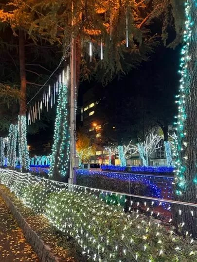 結りんく「デートで行って欲しいイルミネーション☆」-2