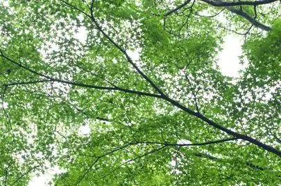ウイン虎ノ門結婚相談所「 結婚相談所 の東京では、複数の方と、交際に入れる。」-2