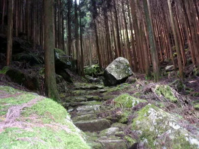 ウイン虎ノ門結婚相談所「本当に結婚する人は、いままで相手ではないと思っていた人!」-3