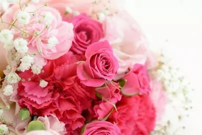 Applause（アプローズ）「不思議なご縁で成婚まじか💓」-2