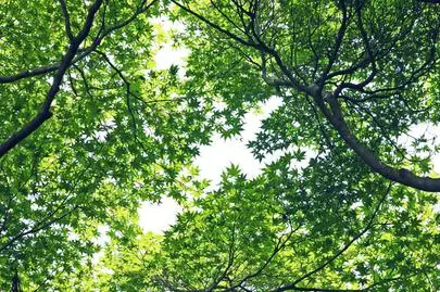 ウイン虎ノ門結婚相談所「東京で婚活している、男女のお見合いの結果報告」-2