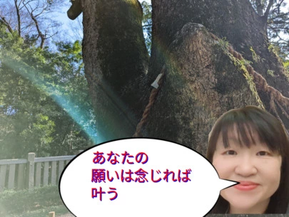 結婚相談所カインド「昨日は医師との入会面談でした。」-2
