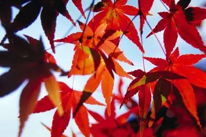 ウイン虎ノ門結婚相談所「結婚相談所の仲人による紹介!!!? 本当の意味。」-2