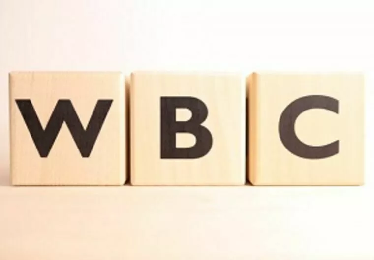 婚活でWBC侍ジャパンを取り入れる