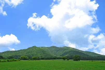 ウイン虎ノ門結婚相談所「多数の男性脳からすると、女性は、標準体重が良いの!!?」-3