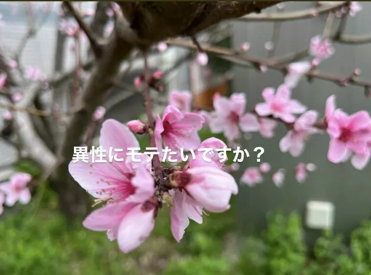 異性にモテたい？？