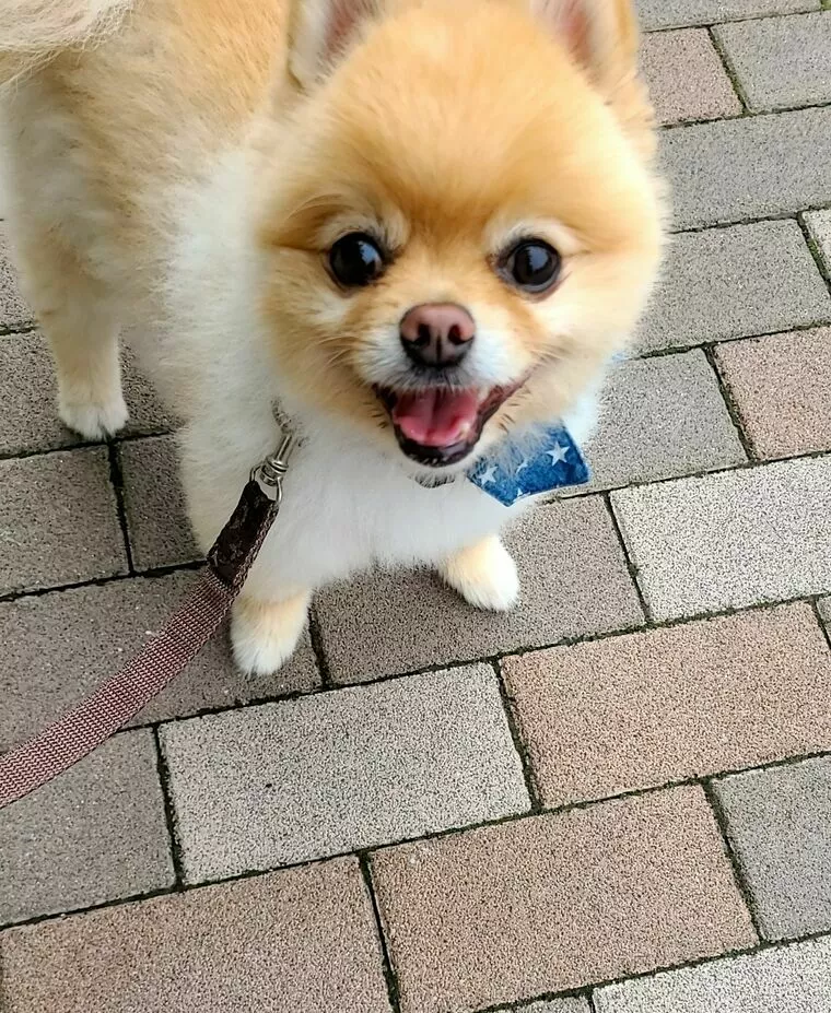 仲人のハードな一日はこんな感じ！
