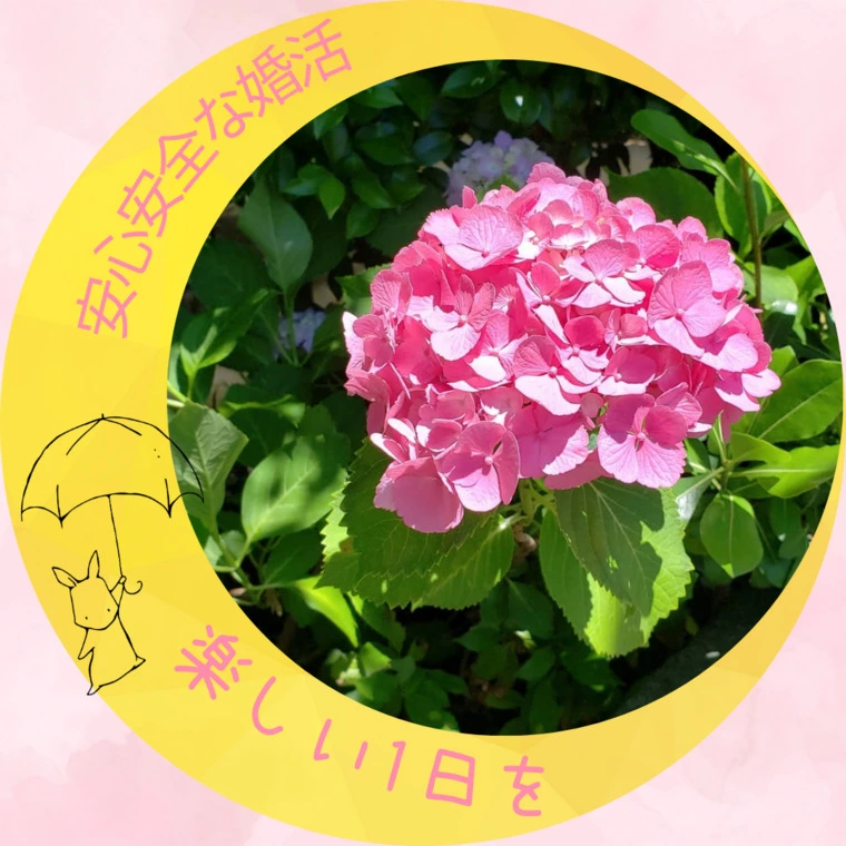 安心安全な婚活環境を作ってくれるものたち