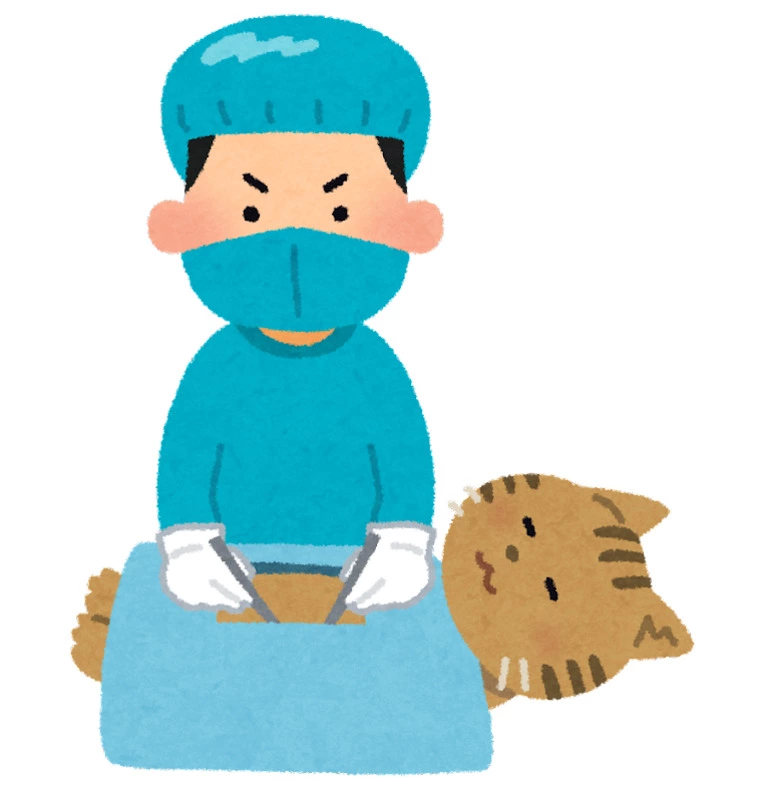 仲人アドバイザーの仕事で最も大事なこと！