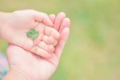 花福「好きなタイプは十人十色。」-2