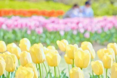 marriage consult HARMONIE「【ご成婚】退会♡活動期間５ヶ月！交際３ヶ月✨」-2