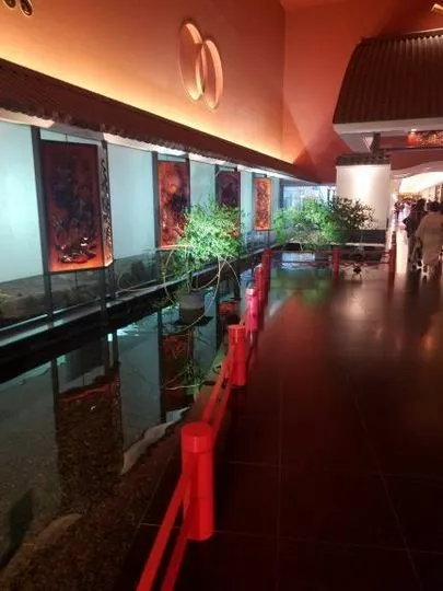 婚活レッツ「お見合い前の実地面談をしてきました！」-2