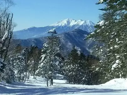 ウイン虎ノ門結婚相談所「いつ婚活する!?」-3