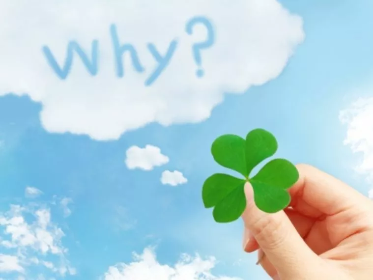 お見合同席をして感じる事(((ｕдｕ*)