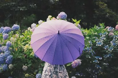婚活サロン エンエルア「【関東は梅雨入り】雨の日の都内デートプラン」-2