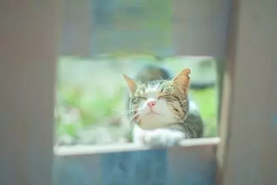 エール　マリアージュ「おひとりおひとりのお客様を大切に。」-2