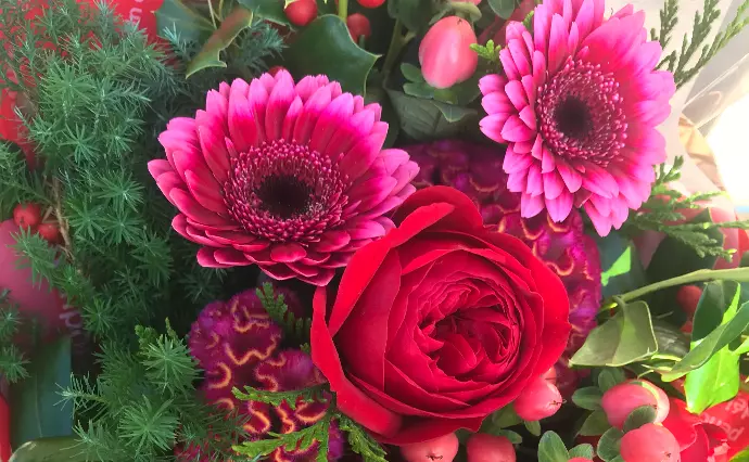 結婚コンサルタント マゼンダで婚活した30代前半女性の画像2