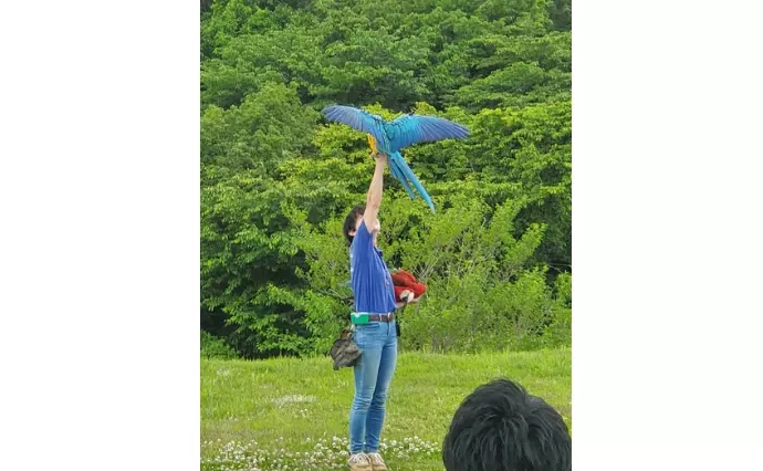 Amazing Dayで婚活した40代前半男性の画像4
