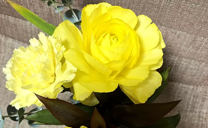 パルティール町田で婚活した50代前半男性の画像2