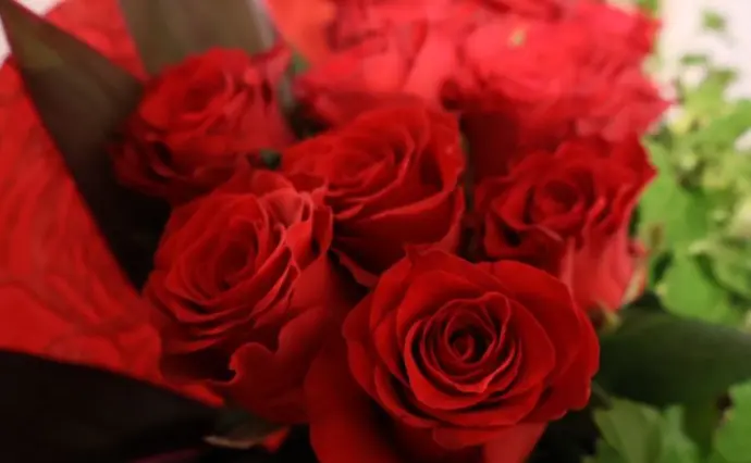 チアーズで婚活した30代前半女性の画像3