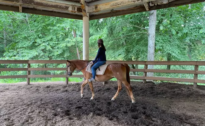 パピヨン結婚相談所で婚活した30代前半女性の画像2
