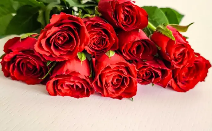 ココカラ。縁結びで婚活した30代前半男性の画像2