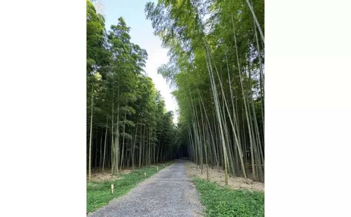 Amazing Dayで婚活した30代後半女性の画像3