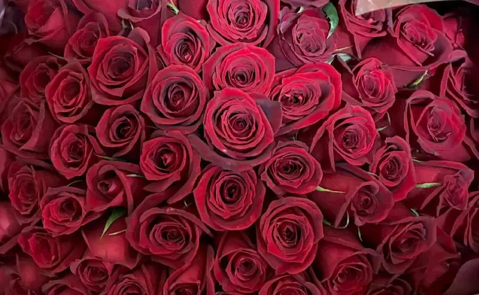 EliYume結婚相談所で婚活した30代前半女性の画像3