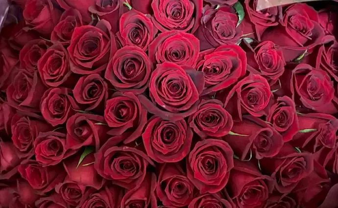 EliYume結婚相談所で婚活した30代前半女性の画像3