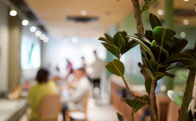 パピヨン結婚相談所で婚活した40代前半女性の画像2