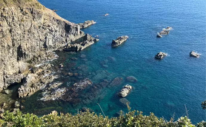 あすなる　愛媛の結婚相談所で婚活した60代以上女性の画像3