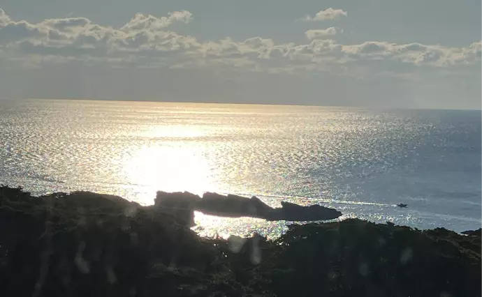 あすなる　愛媛の結婚相談所で婚活した60代以上女性の画像4