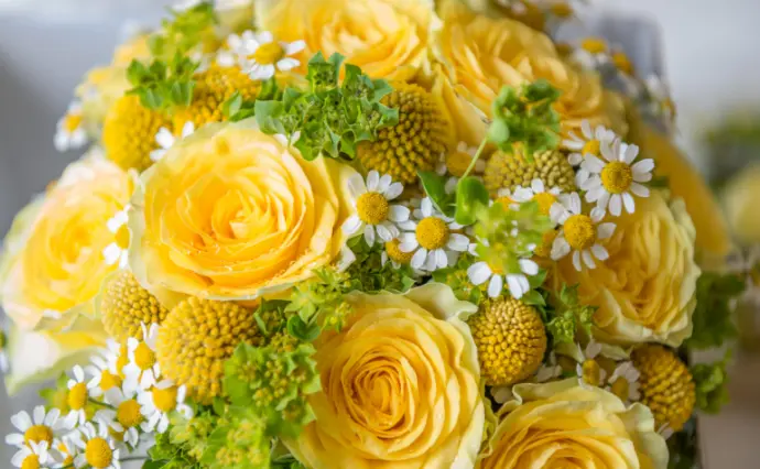 ゆりあい結婚相談所で婚活した30代前半女性の画像4