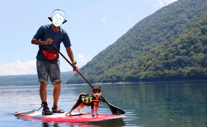 結婚相談所 Allegroで婚活した60代以上男性の画像2